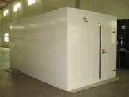 -18 ~ -25℃ Polyurethane Pnel Freezer Cold Room for Fish and Meat Storage