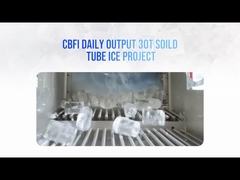 ইউরোপ 30 টন সলিড ফ্ল্যাট কাট টিউব আইস মেশিন কেস শেষ