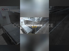 2 টন/ঘন্টা টানেল দ্রুত ফ্রিজ গুদাম কেস