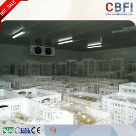 100mm 120mm 150mm 200mm Freezer Cold Room Low Electric Power Consumption