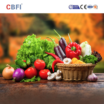 CBFI SUS304 স্পাইরাল দ্রুত ফ্রিজার ফ্রিজ নুডলস এবং প্যাস্ট্রি